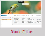blocks editor